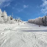 דירה Mitterdorf Almberg X29 *