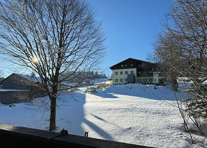 Apartment Mitterdorf Almberg X29