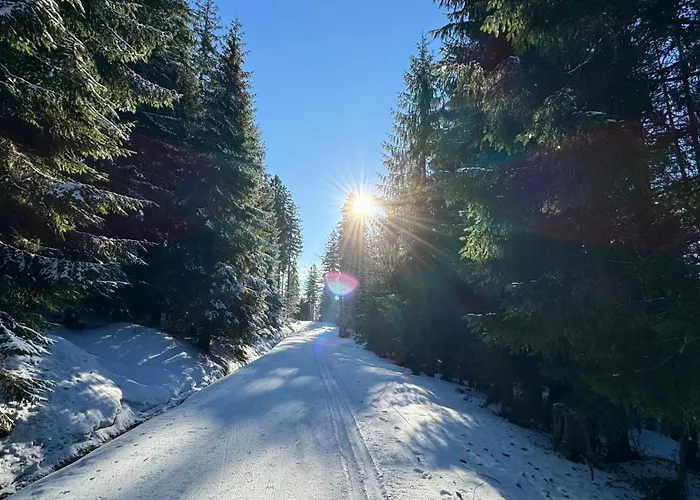Mitterdorf Almberg X29 Mitterfirmiansreut