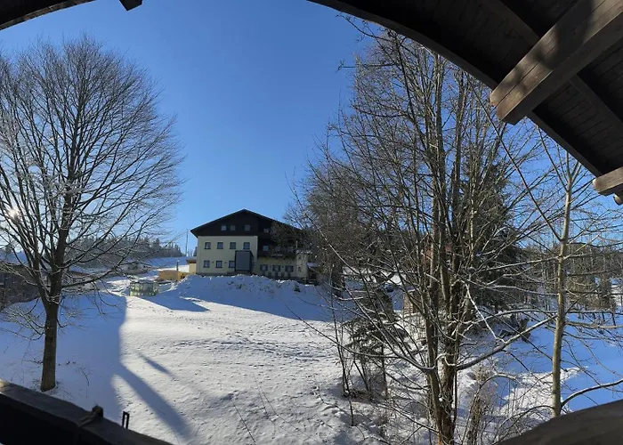 Apartment Mitterdorf Almberg X29 Mitterfirmiansreut