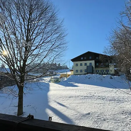 Apartment Mitterdorf Almberg X29