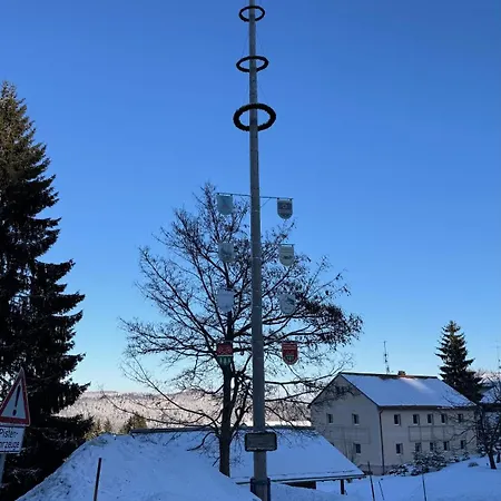 Mitterdorf Almberg X29 *