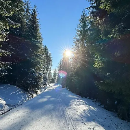 Mitterdorf Almberg X29 Mitterfirmiansreut