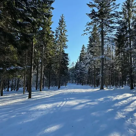 Apartamento Mitterdorf Almberg X29 Mitterfirmiansreut