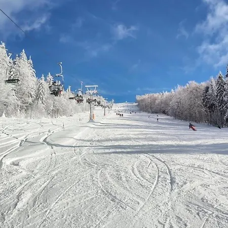 Appartamento Mitterdorf Almberg X29 *