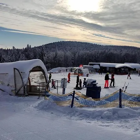 Mitterdorf Almberg X29 *