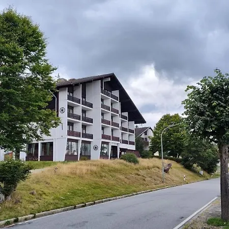 Mitterdorf Almberg X29 * Mitterfirmiansreut