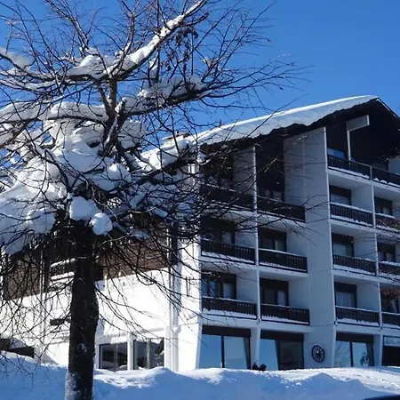 Apartment Mitterdorf Almberg X29