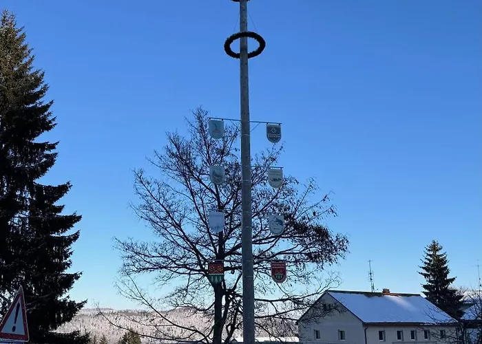 Mitterdorf Almberg X29 *