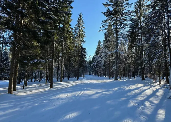 아파트 Mitterdorf Almberg X29 미테르피르미안스로이트