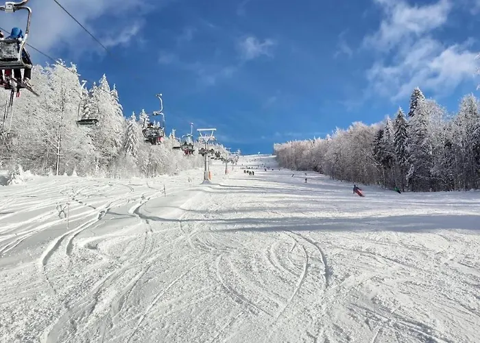 아파트 Mitterdorf Almberg X29 *