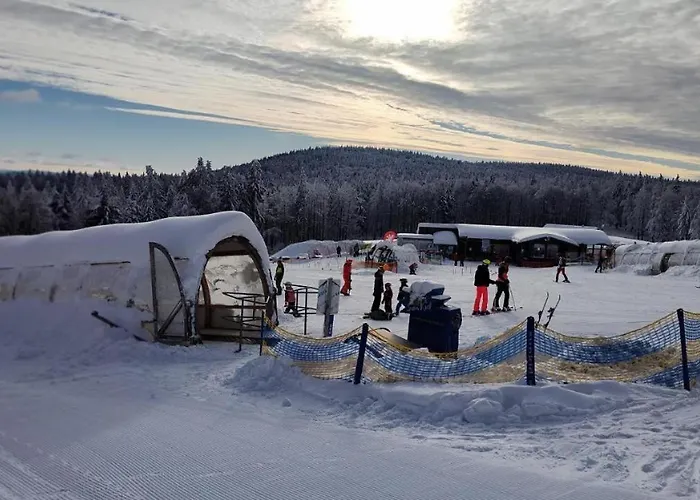 Mitterdorf Almberg X29 *